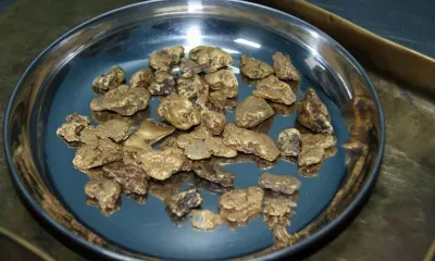 Добыча золота и серебра в Зейском округе обернулась штрафом для нарушителя