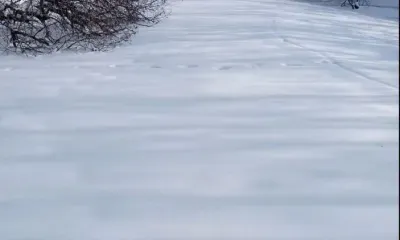 Сугробы в заказниках Амурской области достигли полуметра