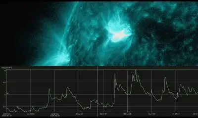 Редкий всплеск активности: 17 сильных вспышек на Солнце произошло за сутки
