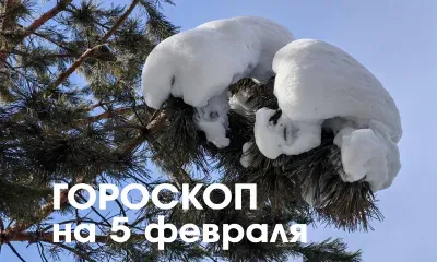 Решить все свои финансовые вопросы смогут Весы 5 февраля