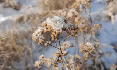 Температура в дневные часы по северу Амурской области 5 февраля составит -31 °С