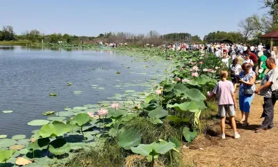 Яркие праздники по инициативе жителей пройдут в Приамурье