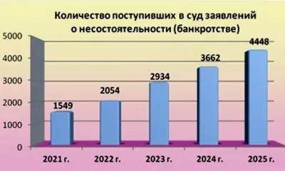Число банкротств физлиц неуклонно растет в Приамурье