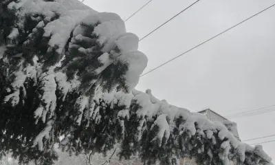 Аэропорты Москвы отменяют рейсы из-за мощнейшего снегопада