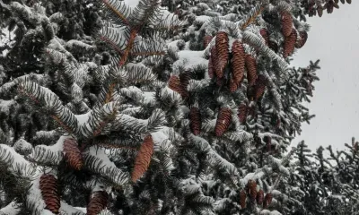 Температура воздуха до -26 градусов ожидается в Амурской области