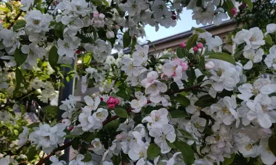 Март подарит россиянам 10 нерабочих дней