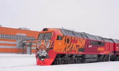 Амурский тигр в депо: тепловоз с полосатым хищником будет работать в Тынде
