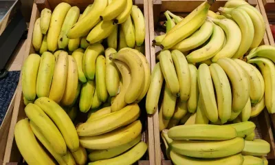 Новый ГОСТ повлияет на выбор бананов, говорят эксперты Пермского политехнического университета