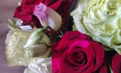 Мужчины чаще женщин планируют брать отпуска и отгулы 8 Марта в Благовещенске 