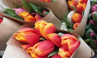 Рейды против нелегальной торговли цветами к 8 Марта пройдут в Белогорске