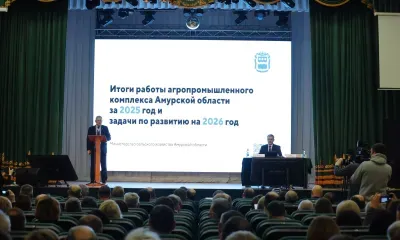 Новый завод в Приамурье откроет возможности для животноводства, отметил Василий Орлов