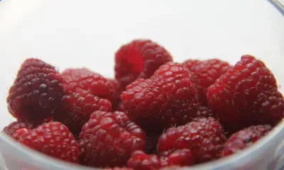 Малину из Китая проверили в Роспотребнадзоре Амурской области