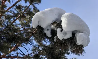 Преимущественно без осадков в Амурской области 7 марта