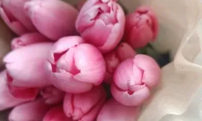 Длинные выходные начались в России