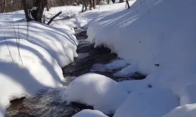 Немного потеплеет в Приамурье 9 марта