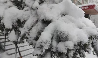 Снег и температура выше нормы: Амурская область встретит мощный циклон