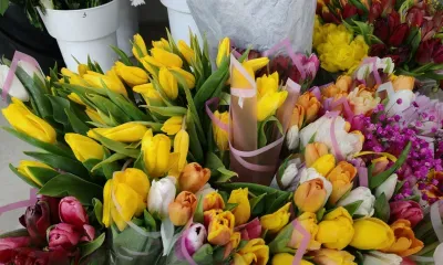 Цветы вне закона: 8 Марта рейды выявили цветы, продающиеся незаконно в Белогорске