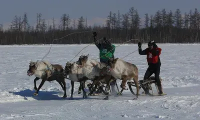 День оленевода и охотника отметят в пяти селах Приамурья
