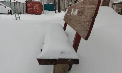 Много нового снега выпадет в Приамурье на следующей неделе