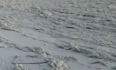 Прорубь на набережной реки Амур закрыли