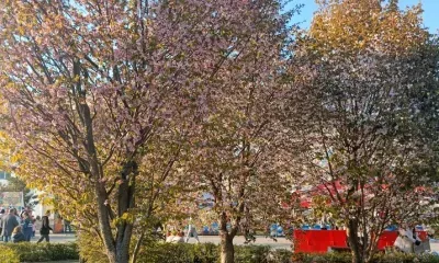 Температура в мае в России будет около нормы, а на Дальнем Востоке выше нормы