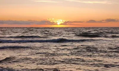 Ночь, звезды, телефон: какие созвездия подарит небо в апреле