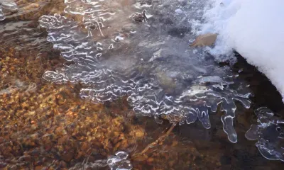 Днем в отдельных районах Амурской области 3 апреля небольшие осадки (снег, мокрый снег) 