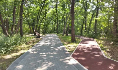 Дату открытия Первомайского парка объявили в Благовещенске