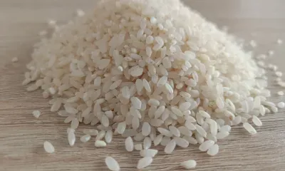 В Китае разработали низкоаллергенный рис, способствующий снижению веса