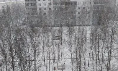 Апрель с сюрпризом: снегопад затянулся на часы в Амурской области