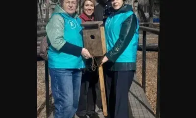 Волонтеры и школьники Благовещенска вместе повесили скворечники