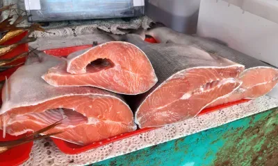 Опасный вирус в рыбе, приводящий к необратимой слепоте у людей, нашли ученые