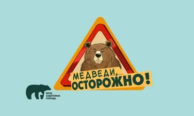 ВТБ и Фонд защитников природы запускают проект «Земля медведя»