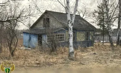 Вернуть средства маткапитала государству обязал амурчанку суд 