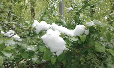 Снег и дождь пройдут в Приамурье 26 апреля