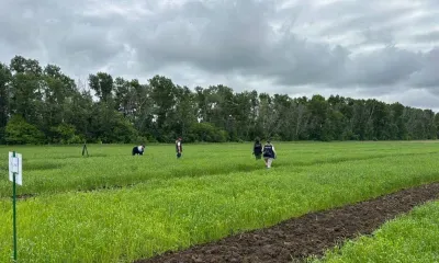 Лучшие повар, сварщик и агроном представят Приамурье на федеральном этапе Всероссийского конкурса «Лучший по профессии»