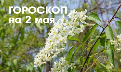 Гороскоп на 2 мая: убывающая Луна в знаке Скорпион дарит гармонию и спокойствие, можно отдохнуть от напряженных и активных действий