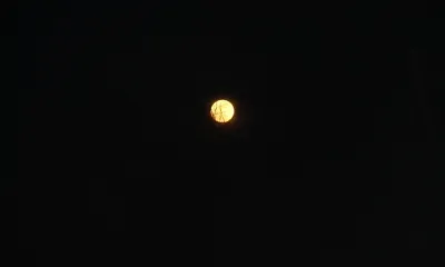 Цветочную Луну увидят россияне на Праздник весны и Труда