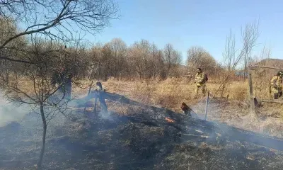  Жилые дома уничтожил природный огонь в Архаринском округе