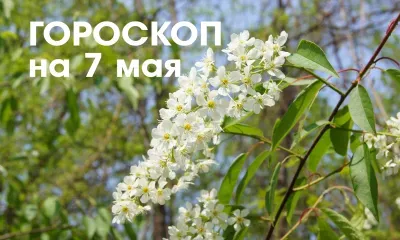 Гороскоп на 7 мая: убывающая Луна в знаке Козерог дает возможность решать текущие вопросы, начинать крупные проекты, назначать встречи, продвигать идеи