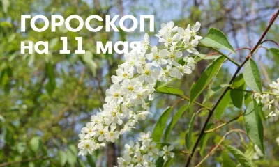Гороскоп на 11 мая: убывающая Луна в знаке Рыбы - день огромных сил, благоприятны повышенные физические нагрузки 