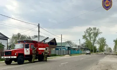 Упавший тополь вызвал короткое замыкание в Тамбовке