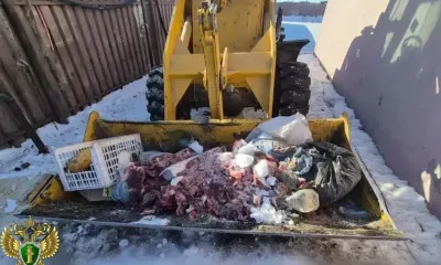 Убой скота проводили негуманным способом в кооперативе в Приамурье