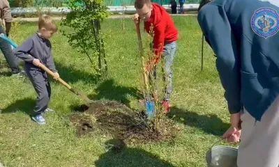 Число памятных деревьев выросло в Приамурье