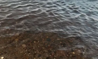 Тело мужчины обнаружили в водоеме в Приамурье