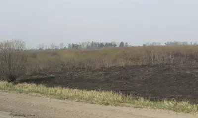 Решение навести порядок едва не привело к катастрофе в Архаринском округе