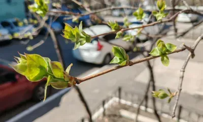 1 мая предложено сделать рабочим днем