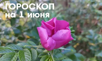 Гороскоп на 1 июня 2026 года: убывающая Луна в знаке Стрелец - это чистый, светлый, спокойный день