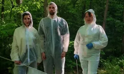 Клещей изучат сообща: учёные собрали в Приамурье больше 1000 образцов насекомых