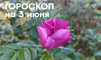 Гороскоп на 3 июня 2026 года: убывающая Луна в знаке Козерог - отличный день для того, чтобы оглянуться назад, подвести итоги и избавиться от ненужного